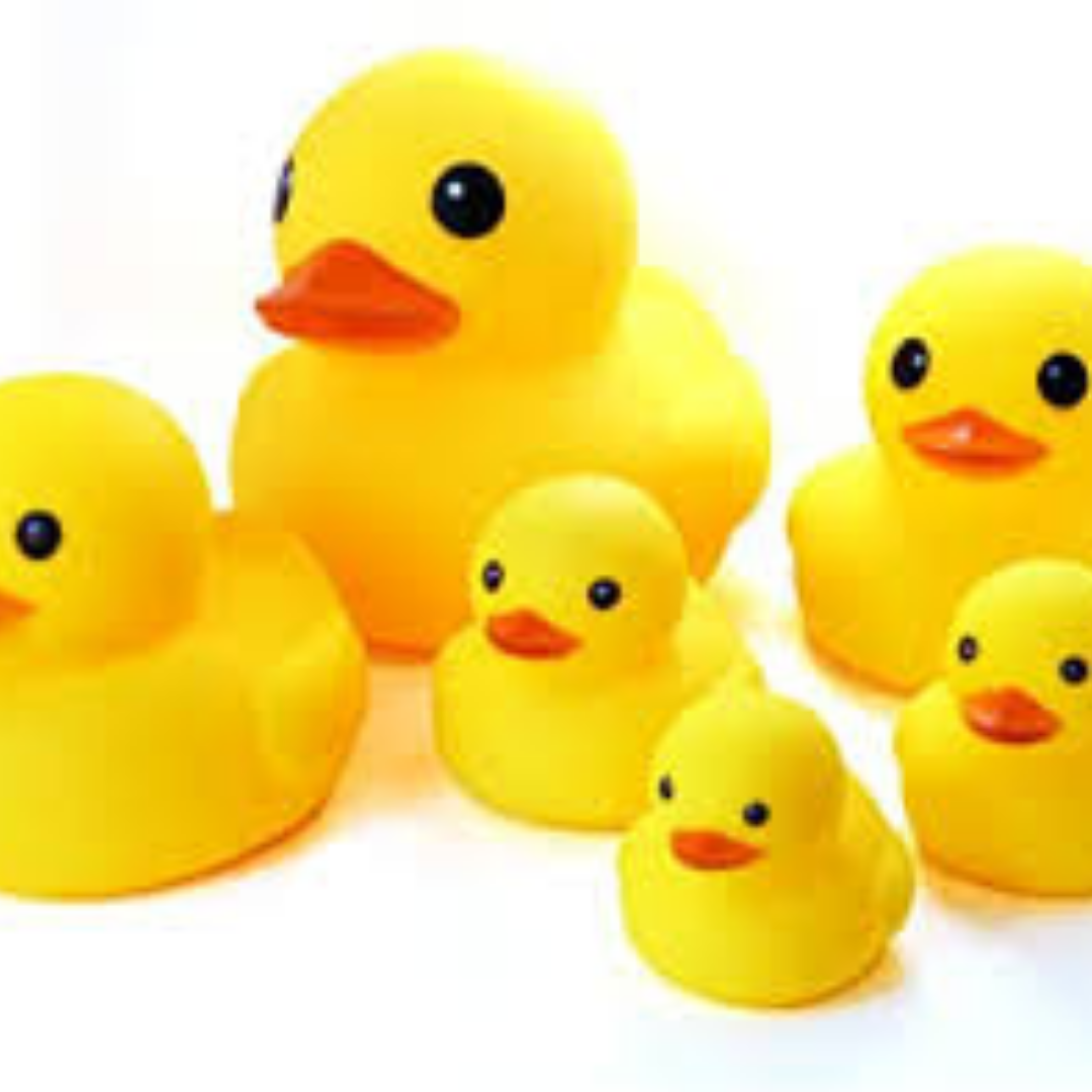 Image of About Us - Rubber Ducks