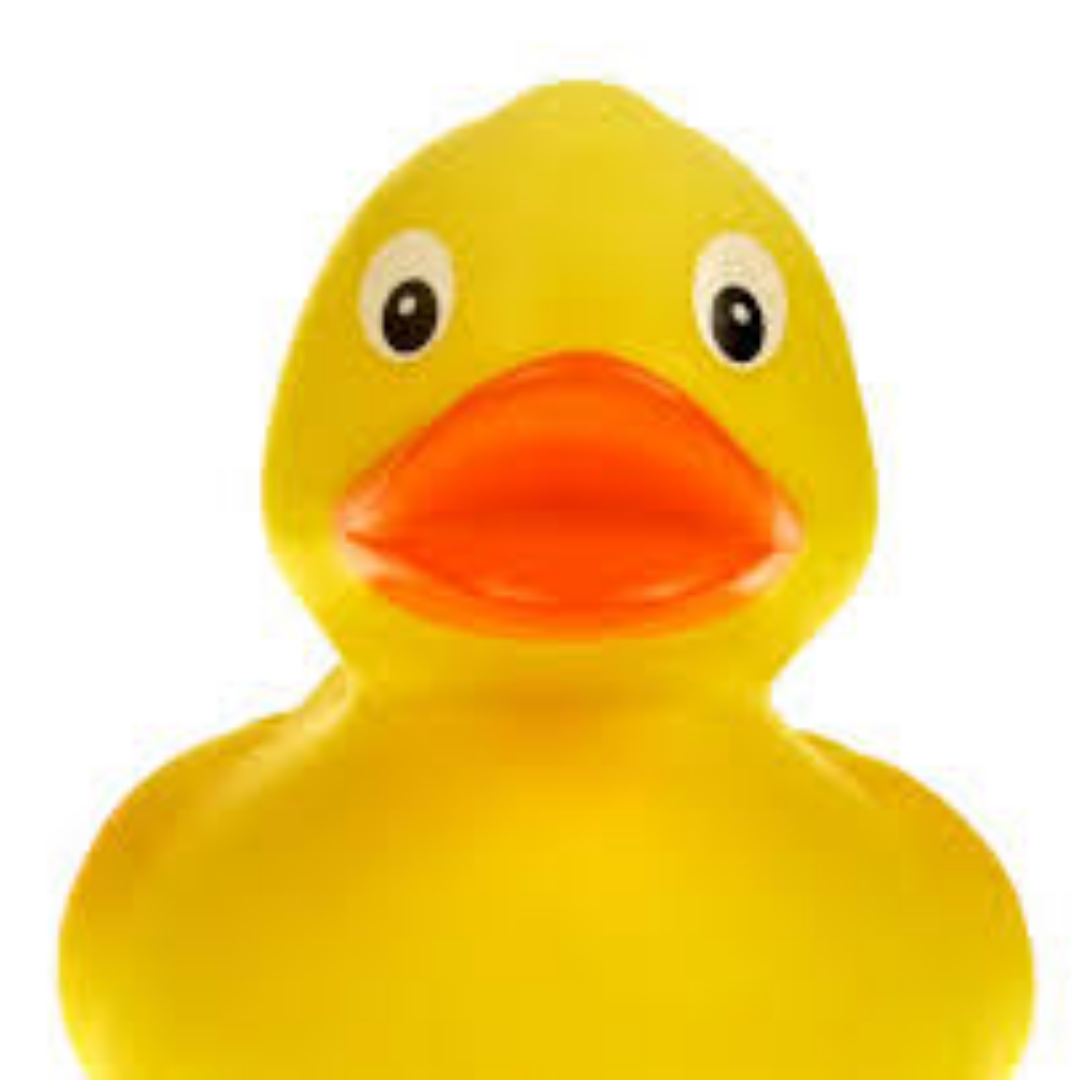 Image of About Us - Rubber Duck