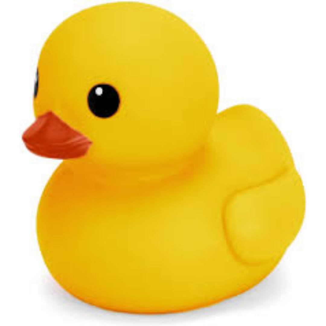 Image of About Us - Yellow Duck
